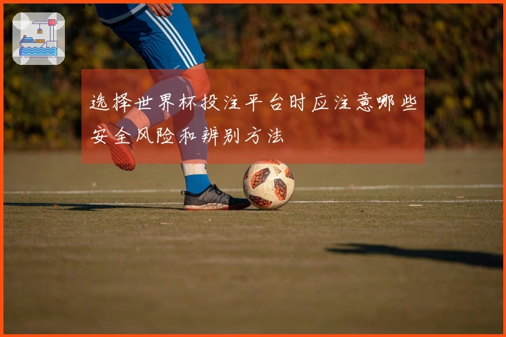 选择世界杯投注平台时应注意哪些安全风险和辨别方法