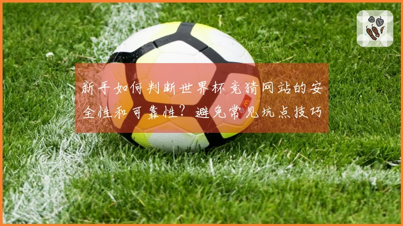 新手如何判断世界杯竞猜网站的安全性和可靠性？避免常见坑点技巧解析