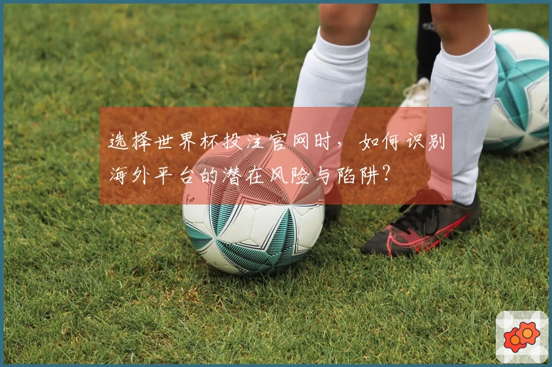 选择世界杯投注官网时，如何识别海外平台的潜在风险与陷阱？