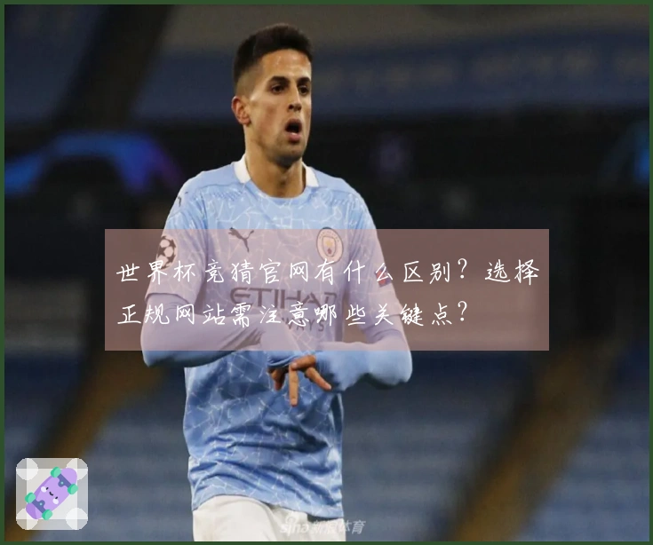 世界杯竞猜官网有什么区别？选择正规网站需注意哪些关键点？