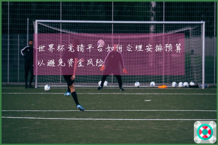 世界杯竞猜平台如何合理安排预算以避免资金风险