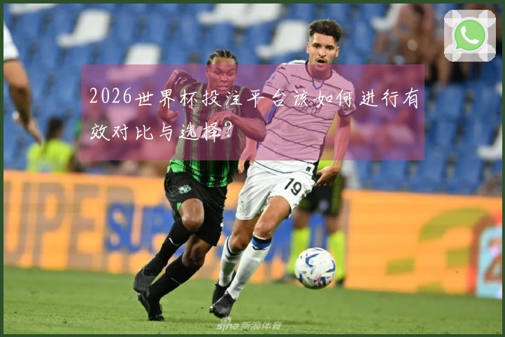 2026世界杯投注平台该如何进行有效对比与选择？