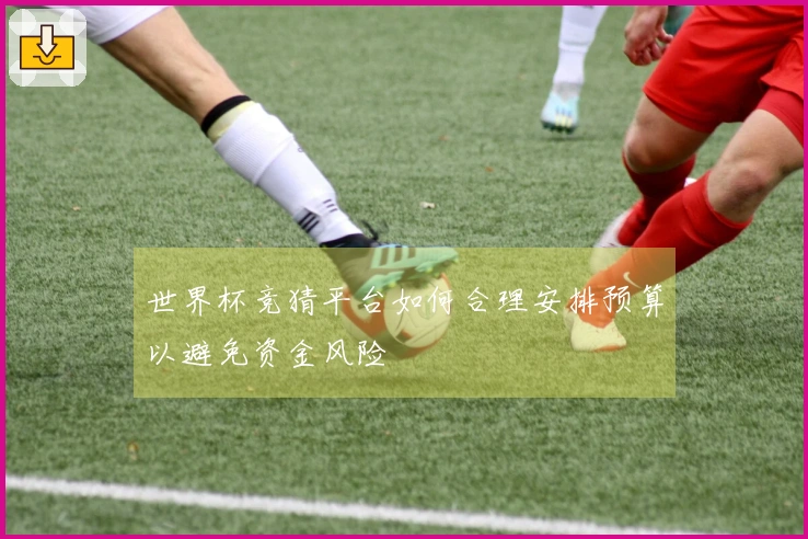 世界杯竞猜平台如何合理安排预算以避免资金风险